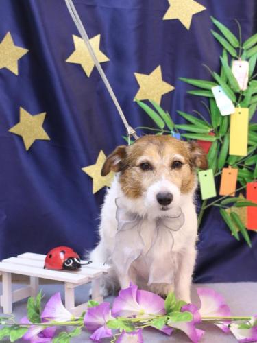 20230725こはるちゃん